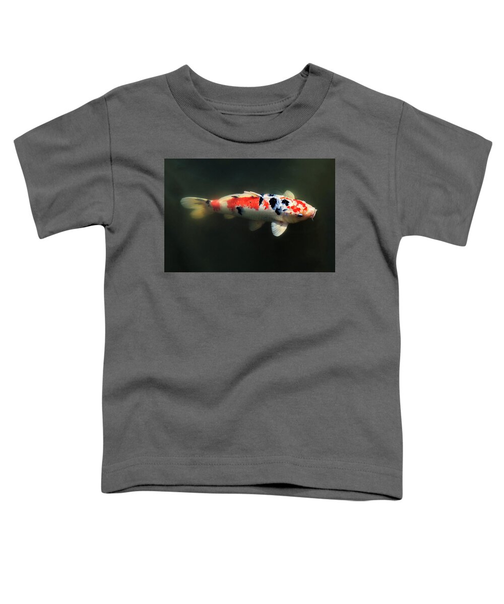 Japanese Garden Toddler T-Shirt featuring the photograph Sanke Koi by Briand Sanderson