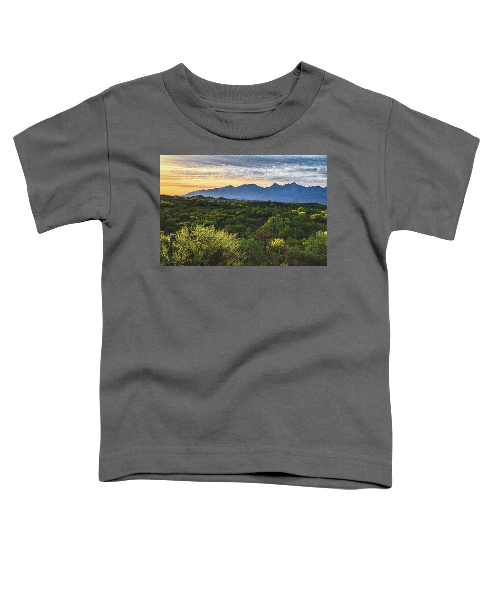 Tucson Toddler T-Shirt featuring the photograph Santa Catalina Evening by Chance Kafka