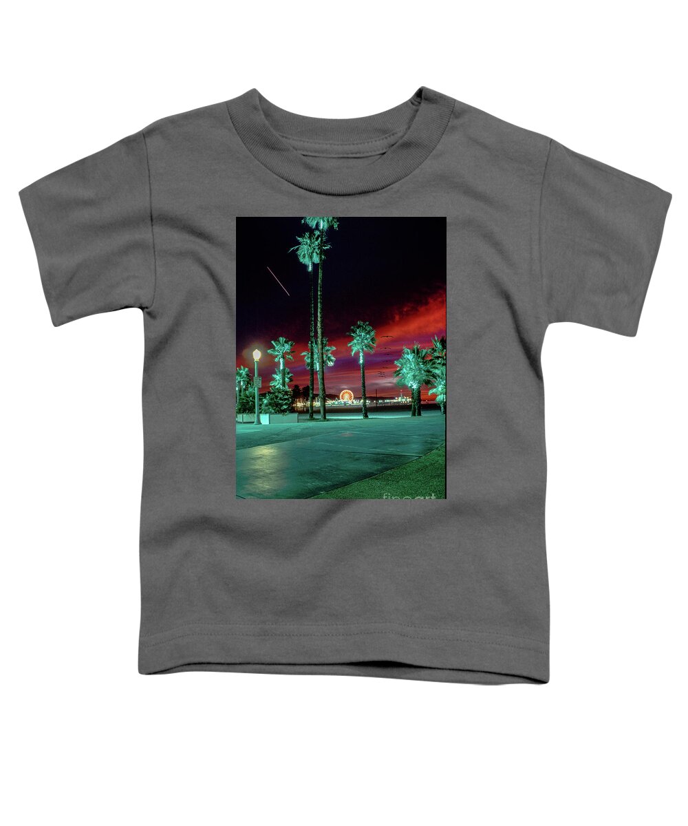 Santa Monica Pier Toddler T-Shirt featuring the photograph Santa Monica Pier Landmark by David Zanzinger