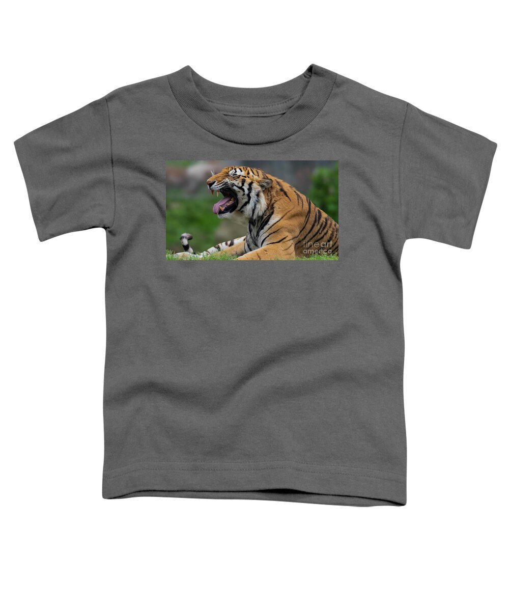 Tiger Toddler T-Shirt featuring the photograph Say ahhhhhhh by Sam Rino