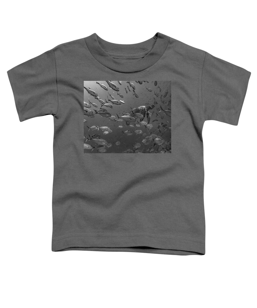 Disk1215 Toddler T-Shirt featuring the photograph Sea Turtle And Schooling Fish by Tim Fitzharris