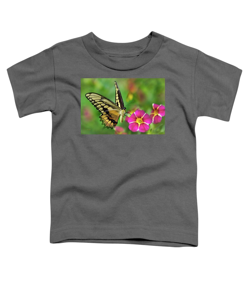 Butterfly Toddler T-Shirt featuring the photograph Second Nature Butterfly by Christina Rollo
