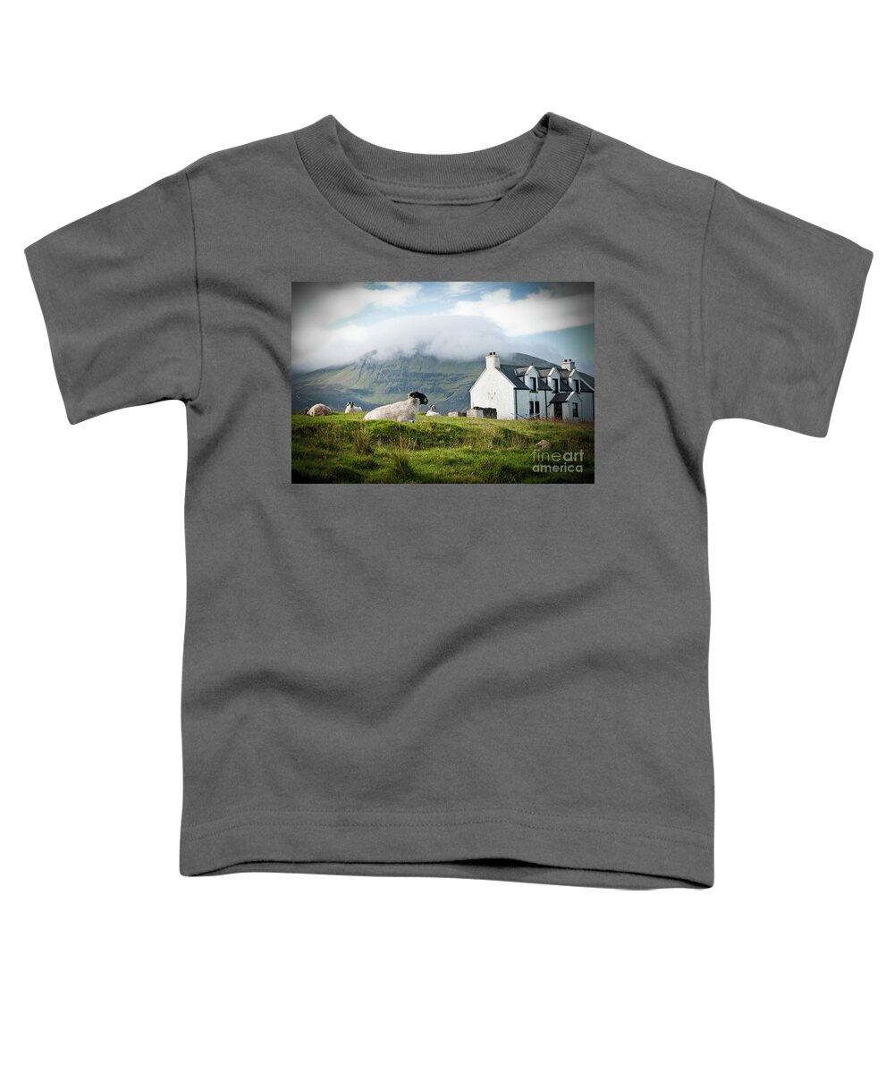 Agriculture Toddler T-Shirt featuring the photograph Sheep grazing on a Scottish farm in spring. by Joaquin Corbalan