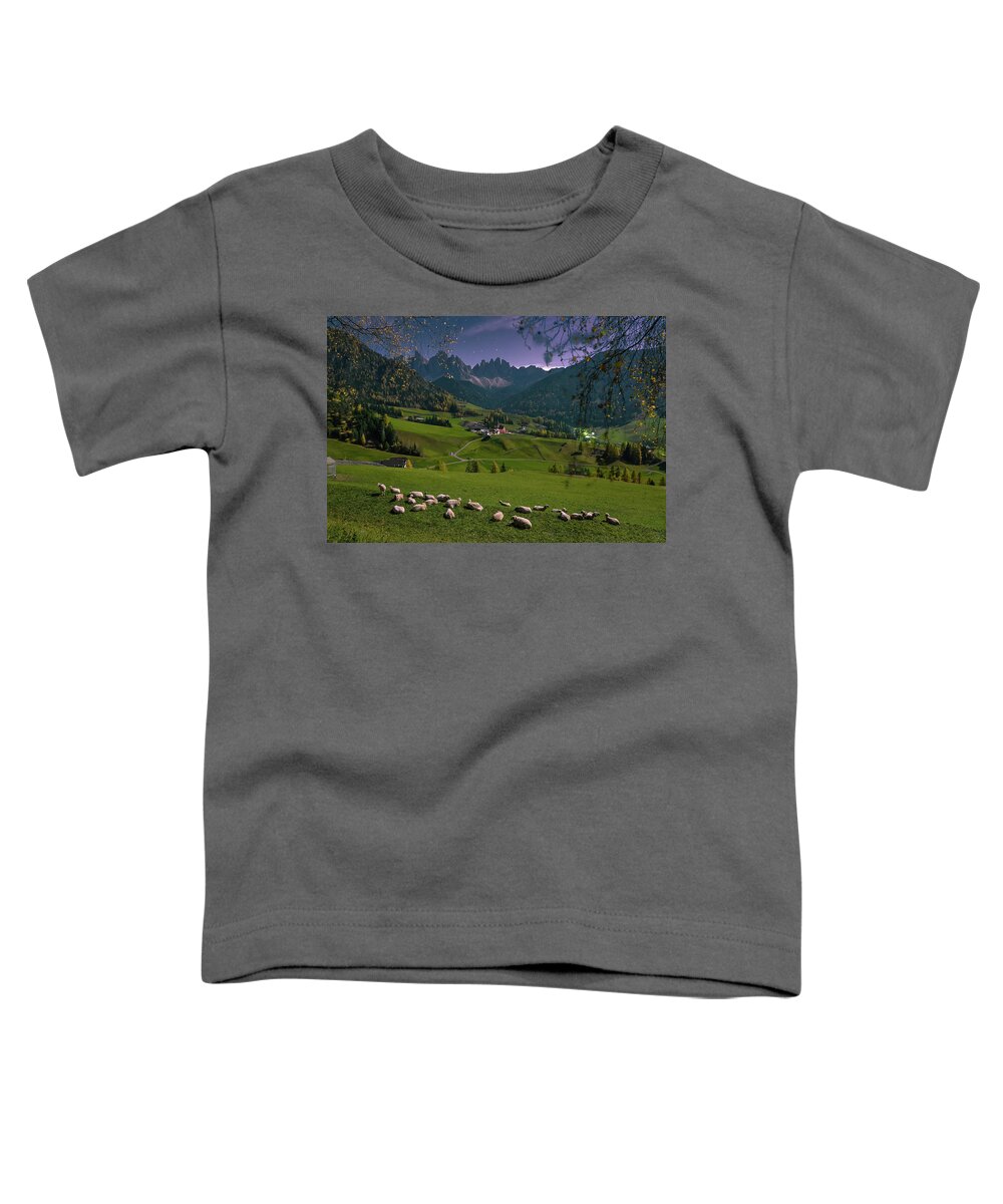 Santa Maddalena Toddler T-Shirt featuring the photograph Sheep in Peace by Elias Pentikis