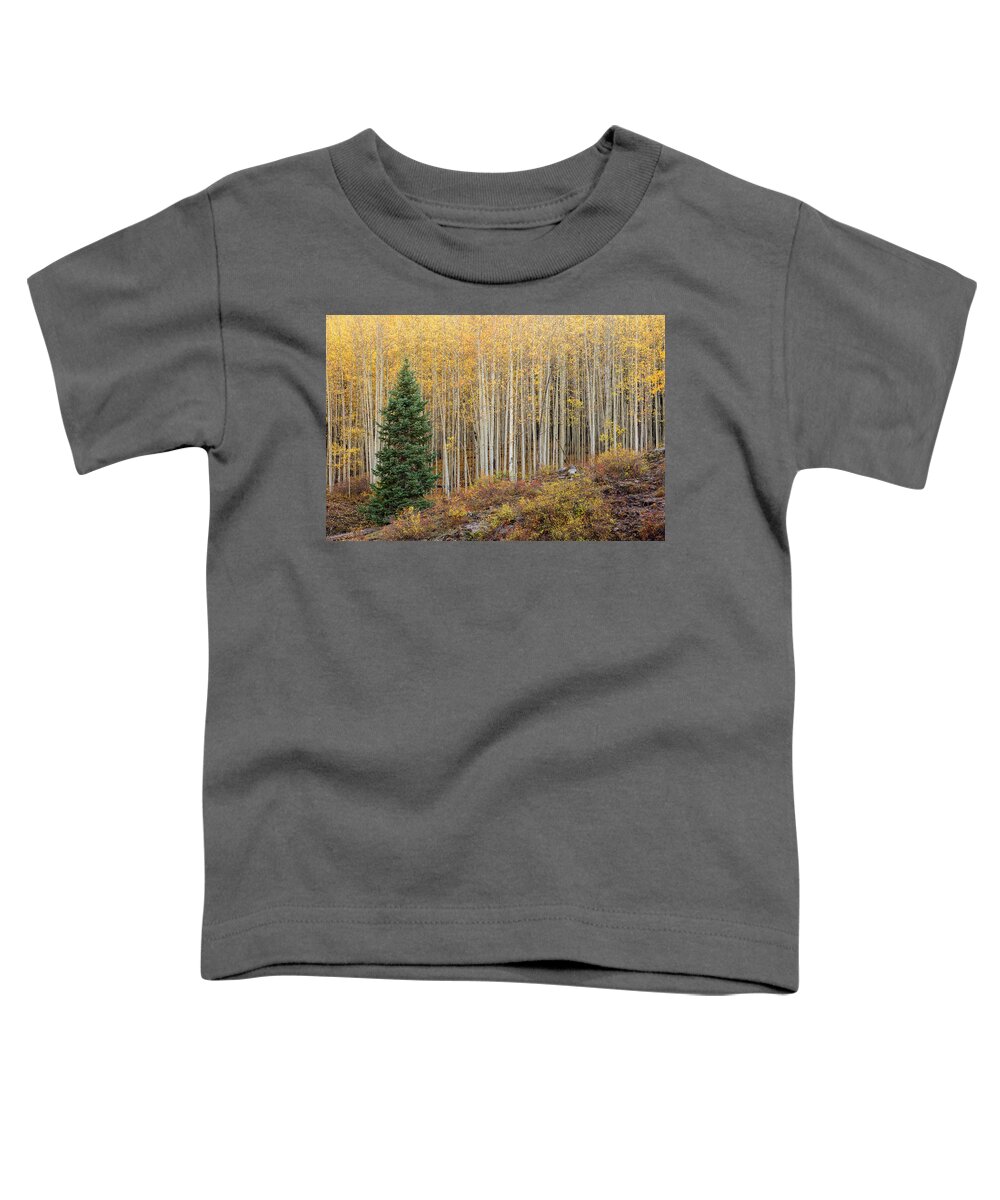 Shimmer Toddler T-Shirt featuring the photograph Shimmering Aspens by Angela Moyer