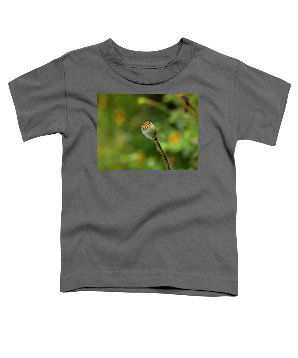 Shirley Poppy Toddler T-Shirt featuring the photograph Shirley Poppy 2018-20 by Thomas Young