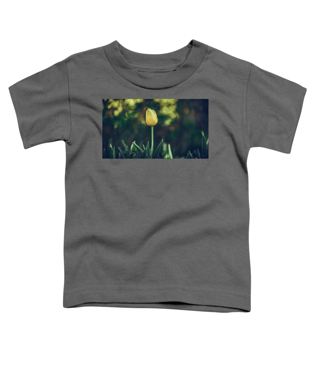  Toddler T-Shirt featuring the photograph Silence is Golden by Dheeraj Mutha
