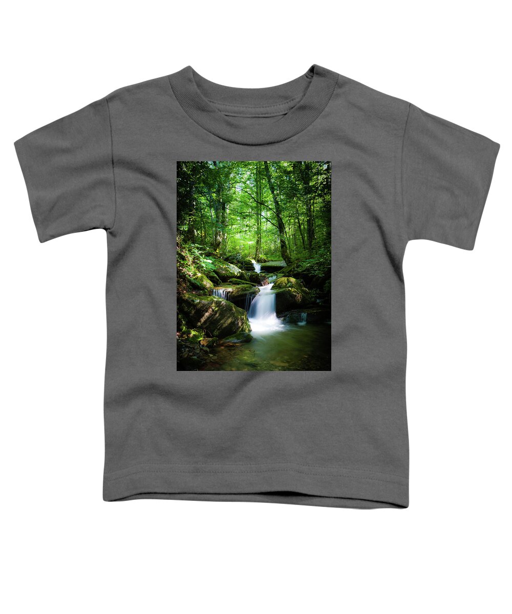 Smokey Mountains Toddler T-Shirt featuring the photograph Smokey Mountain Tranquility by Randall Allen