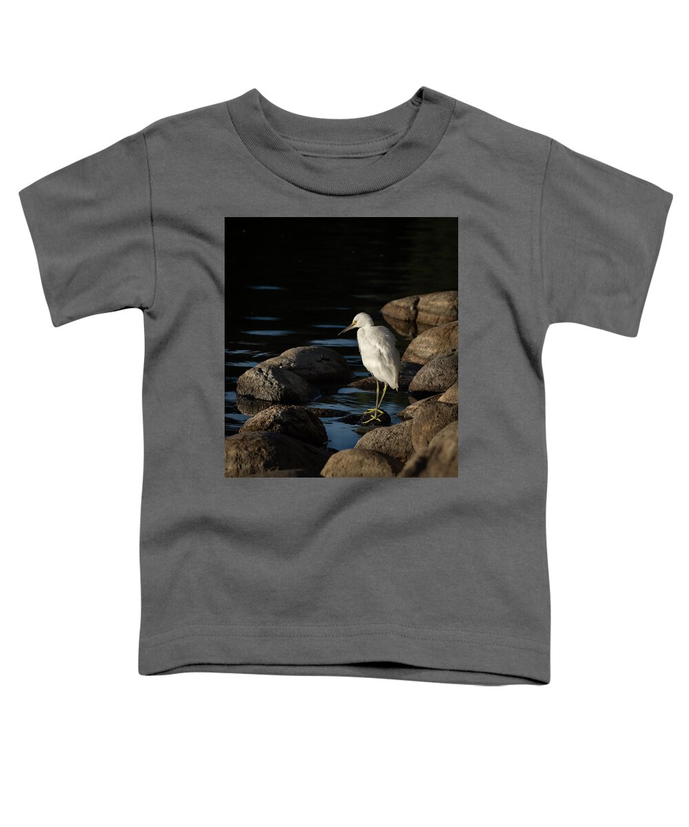 Snowy White Egret Toddler T-Shirt featuring the photograph Snowy White Egret 7 by Rick Mosher