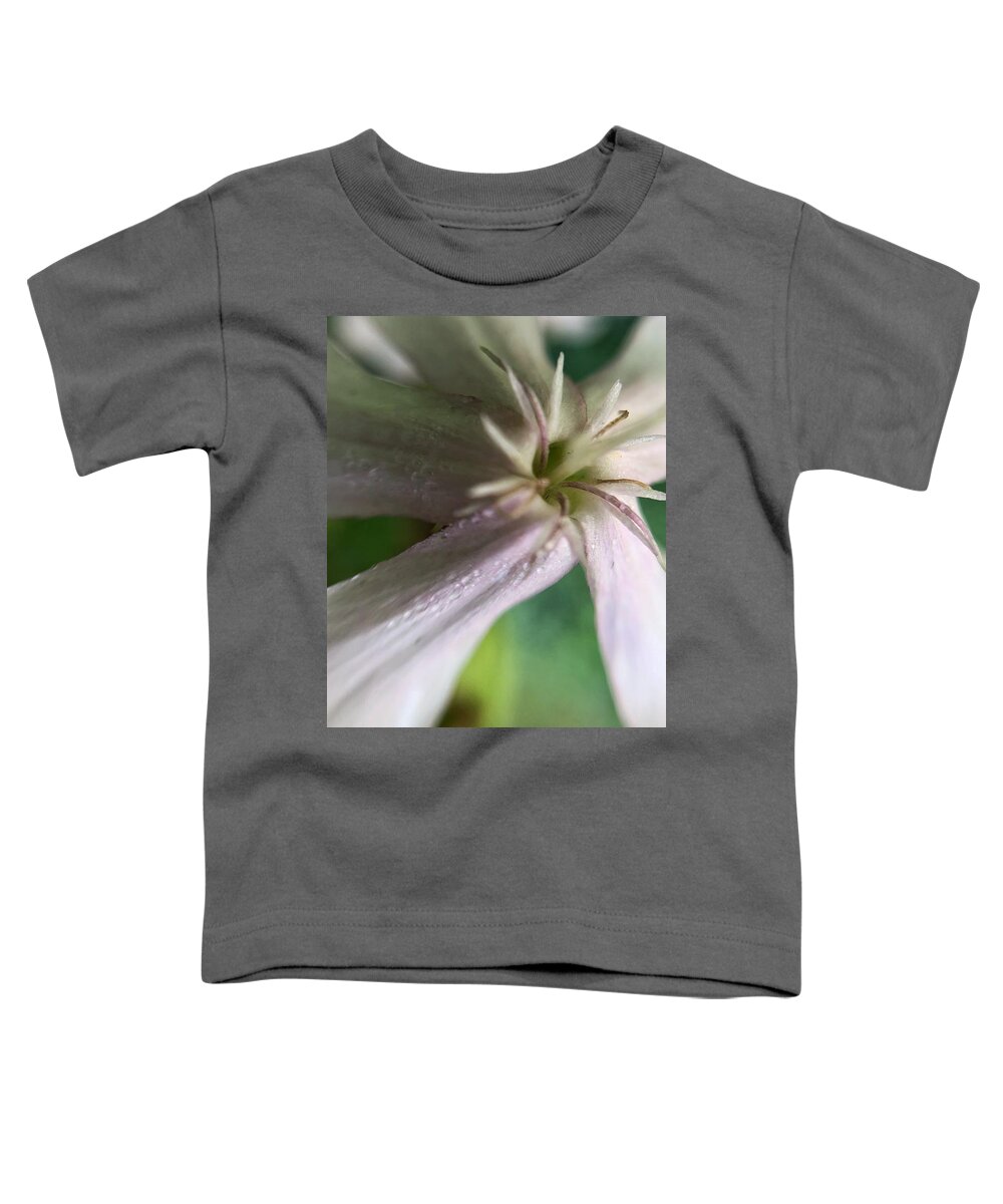 Common Soapwort Toddler T-Shirt featuring the photograph Soapwort Flower Closeup by Jori Reijonen