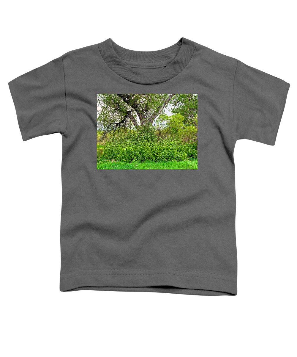 Spring Toddler T-Shirt featuring the photograph Spring 2019 Study 11 by Robert Meyers-Lussier