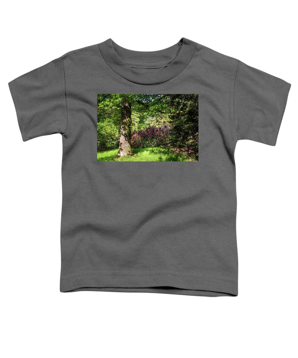 Jenny Rainbow Fine Art Photography Toddler T-Shirt featuring the photograph Spring Marvels. Sunny Day by Jenny Rainbow