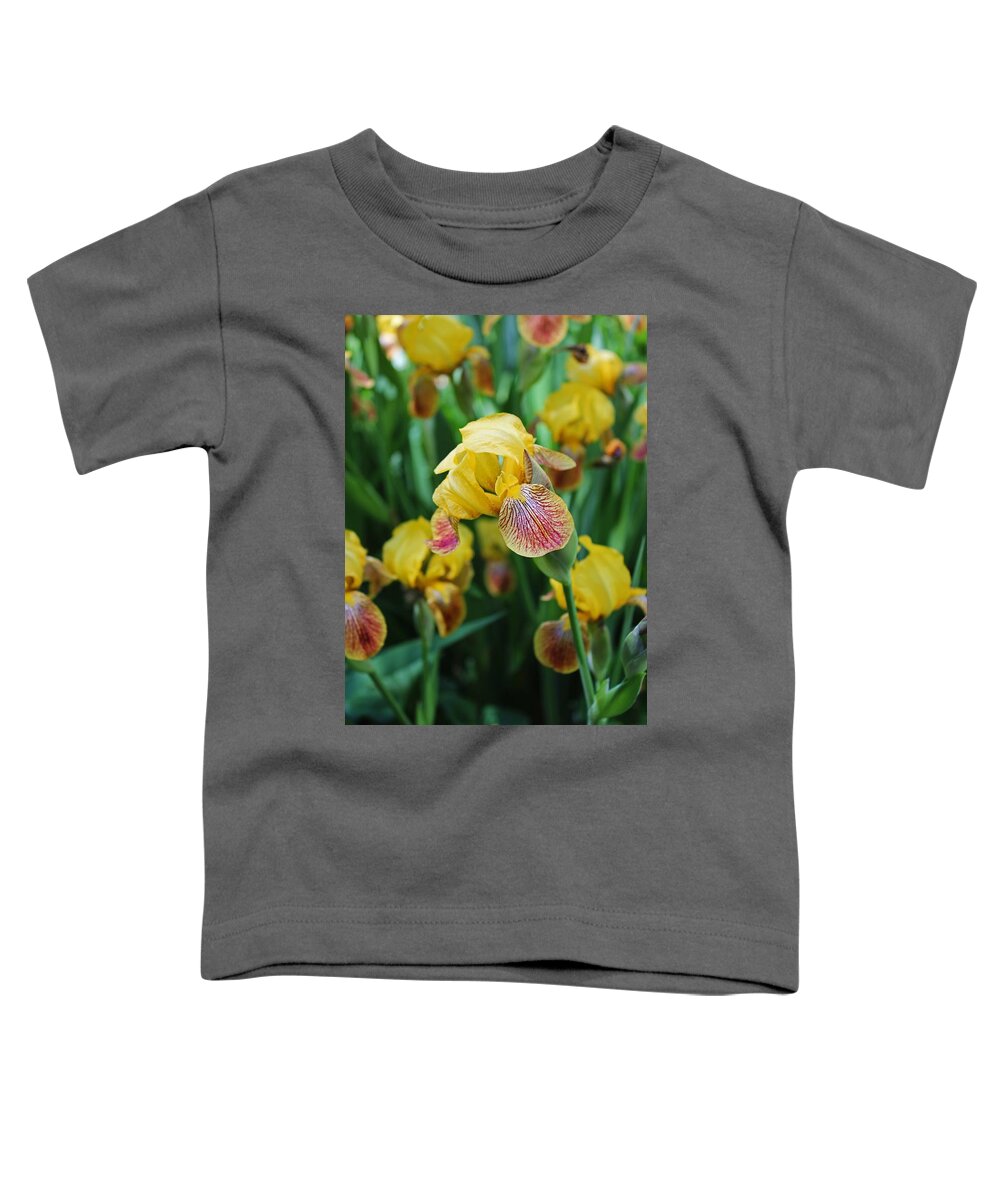 Iris Toddler T-Shirt featuring the photograph Springtime Sway by Michiale Schneider