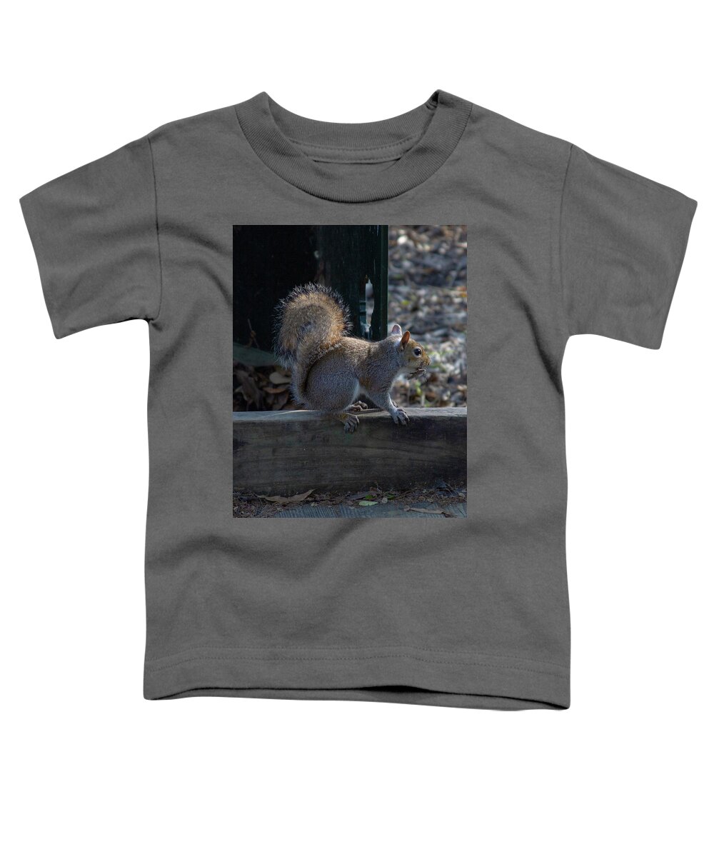 Nature Squirrel Toddler T-Shirt featuring the photograph Squirrel by Rocco Silvestri