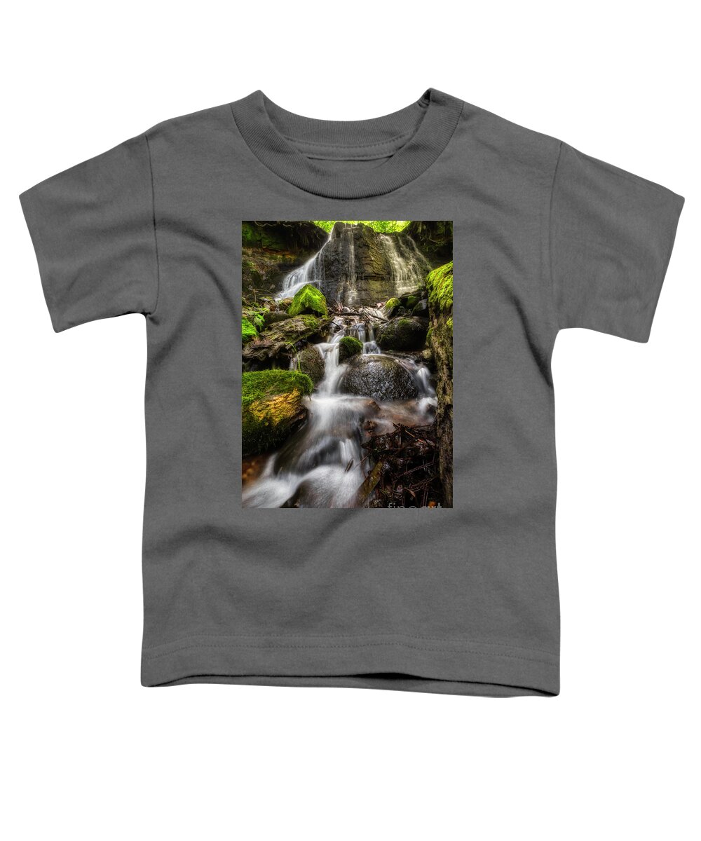 Any Vision Toddler T-Shirt featuring the photograph Storybrook Falls by Bill Frische