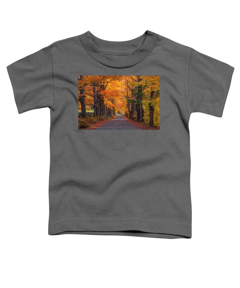 Sugar Toddler T-Shirt featuring the photograph Sugar Hill Autumn Maple Road by White Mountain Images