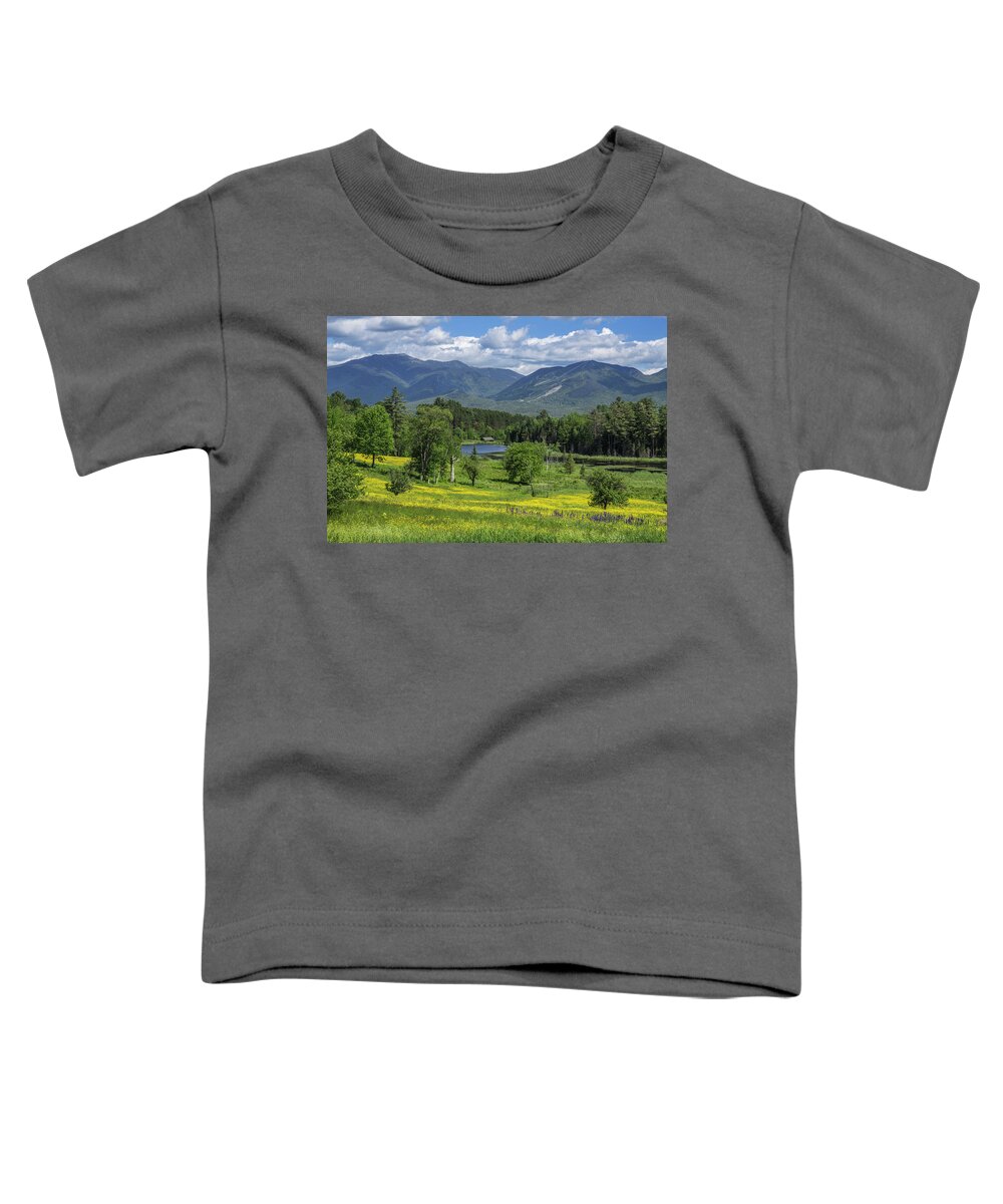 Sugar Toddler T-Shirt featuring the photograph Sugar Hill Springtime by White Mountain Images