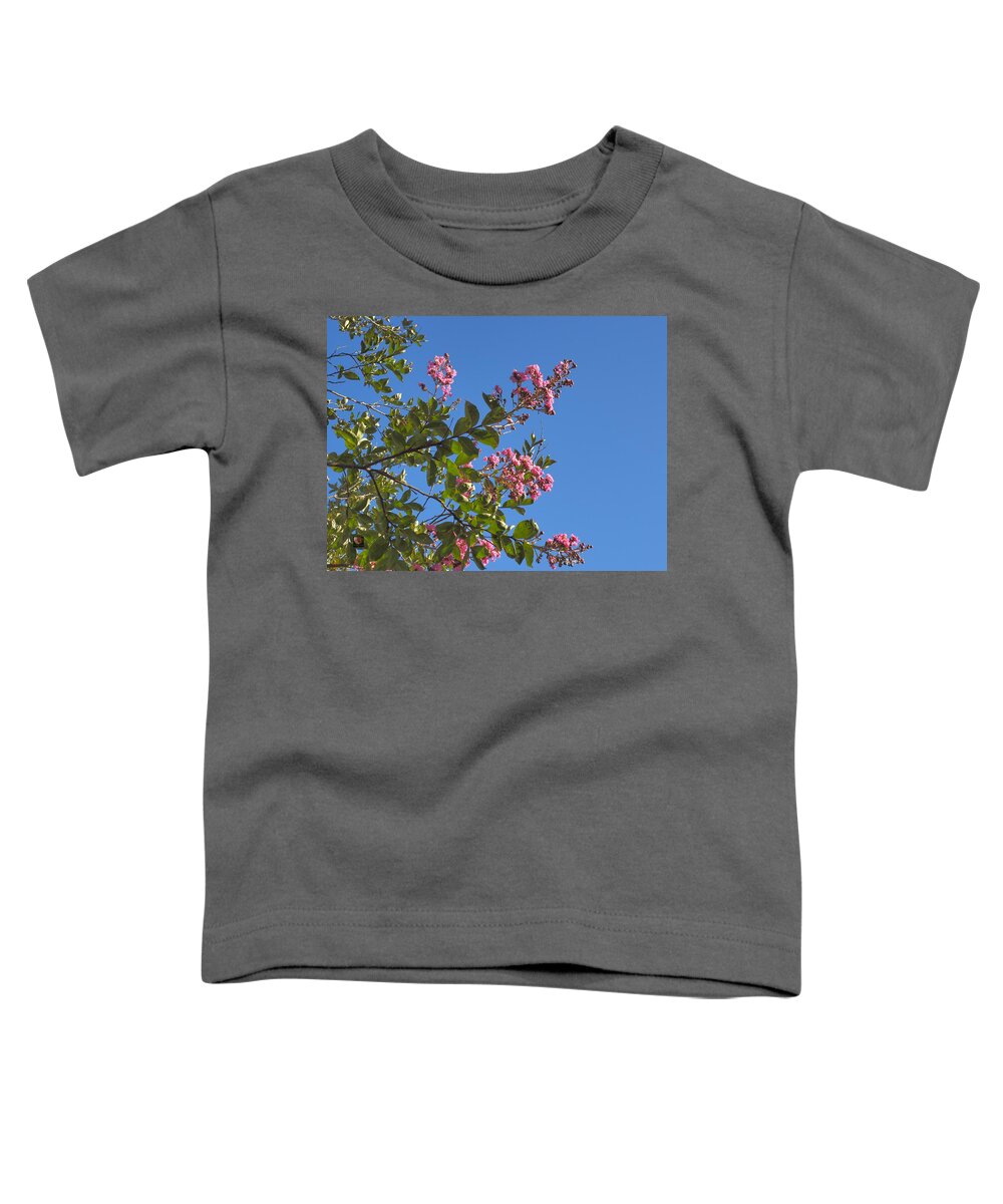 Park Toddler T-Shirt featuring the photograph Summer to Fall by Richard Thomas