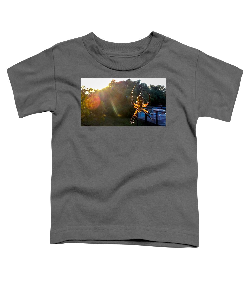 Spider Toddler T-Shirt featuring the photograph Sun Spider by Ivars Vilums