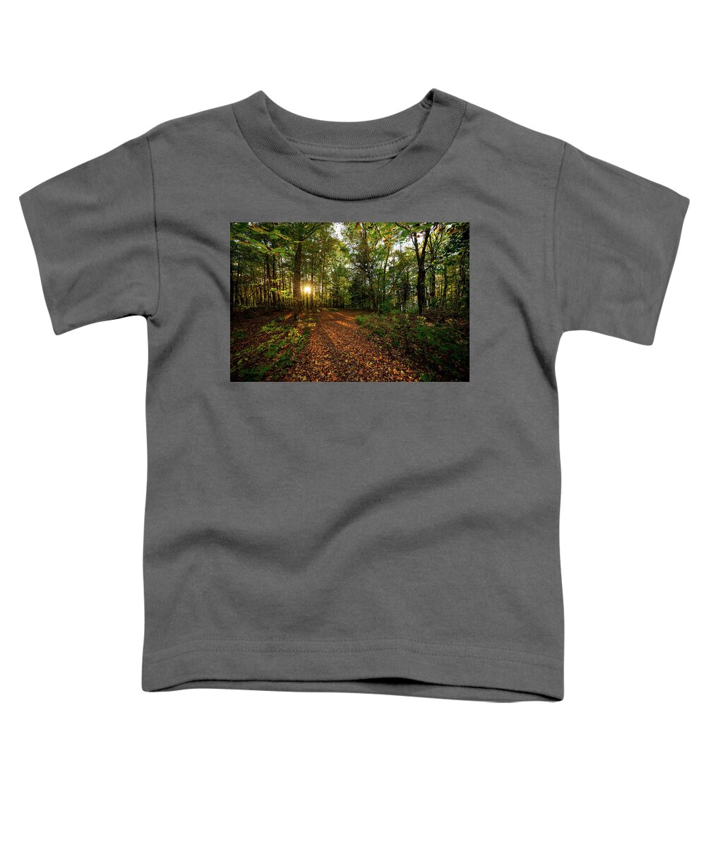 Sunset Toddler T-Shirt featuring the photograph Sunset in the forrest #1381 by Michael Fryd