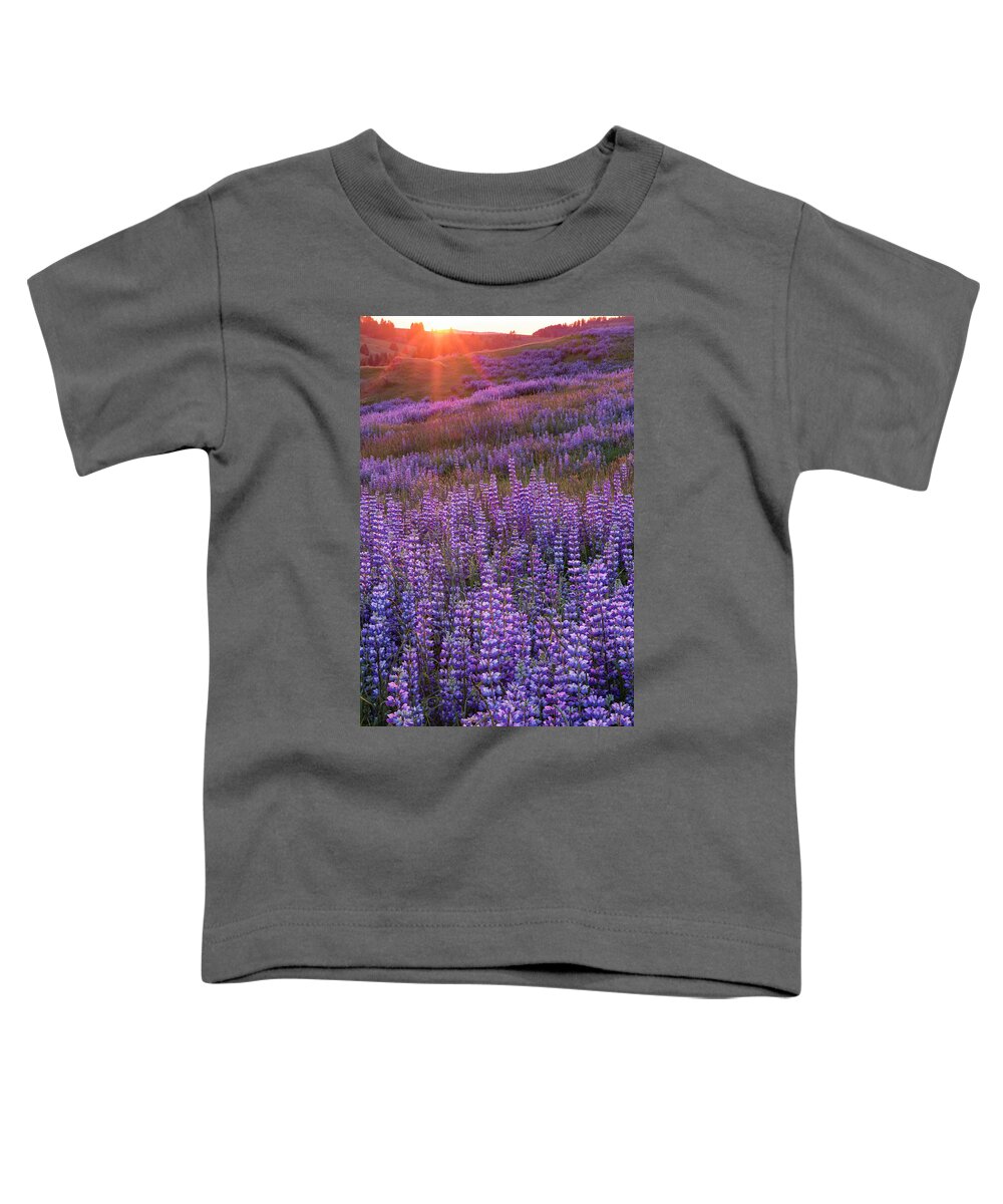 Jeff Foott Toddler T-Shirt featuring the photograph Sunset Lupine In Redwood Natl Park by Jeff Foott