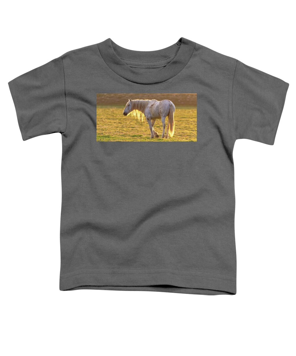 Wild Horses Toddler T-Shirt featuring the photograph Sunset with the old guy by Mary Hone