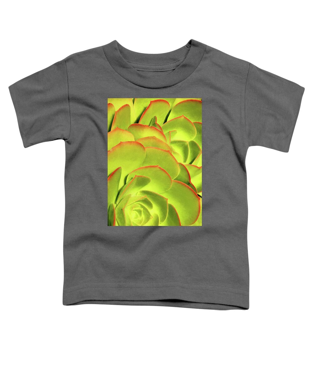 Hen And Chicks Toddler T-Shirt featuring the photograph Sweet Succulents II by Leda Robertson