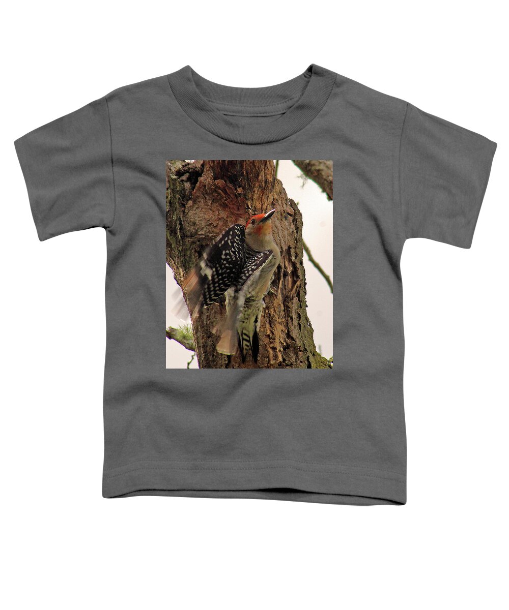 Woodpecker Toddler T-Shirt featuring the photograph Taking Off by Michael Allard
