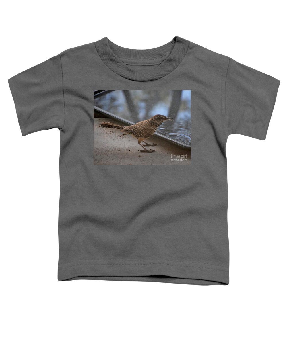 Cactus Wren Toddler T-Shirt featuring the photograph Thanks For The Drink by Janet Marie