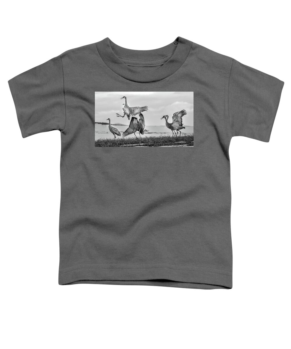 Cranes Toddler T-Shirt featuring the photograph The Dance by Kevin Dietrich