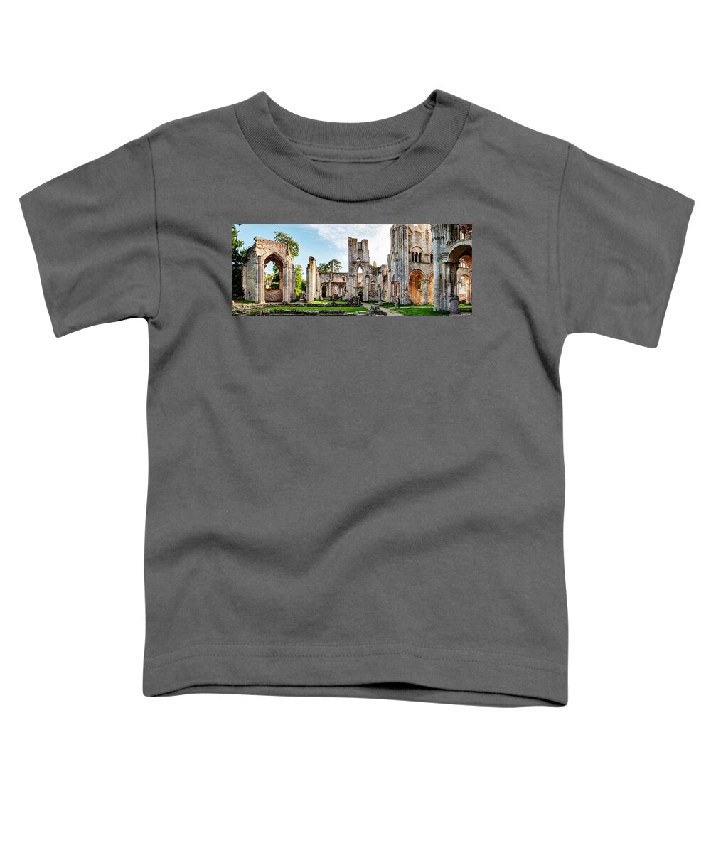Abbey Toddler T-Shirt featuring the photograph The forgotten Abbey 5 by Weston Westmoreland
