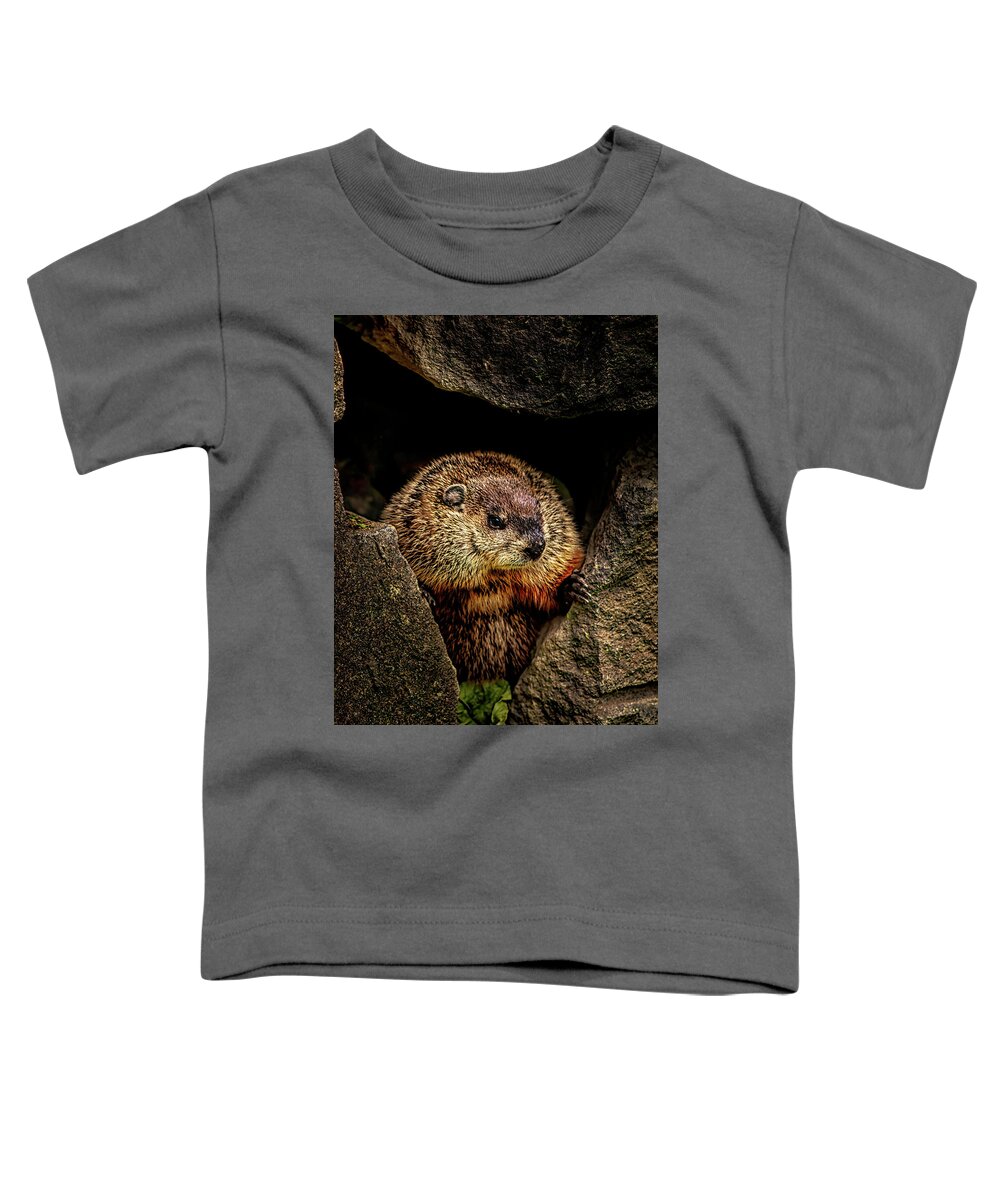 #faatoppicks Toddler T-Shirt featuring the photograph The Groundhog by Bob Orsillo