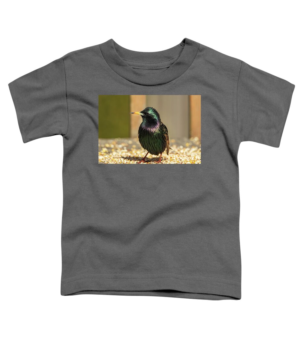 Bird Toddler T-Shirt featuring the photograph The Iridescent Plumage of a Starling Bird by Sandra J's