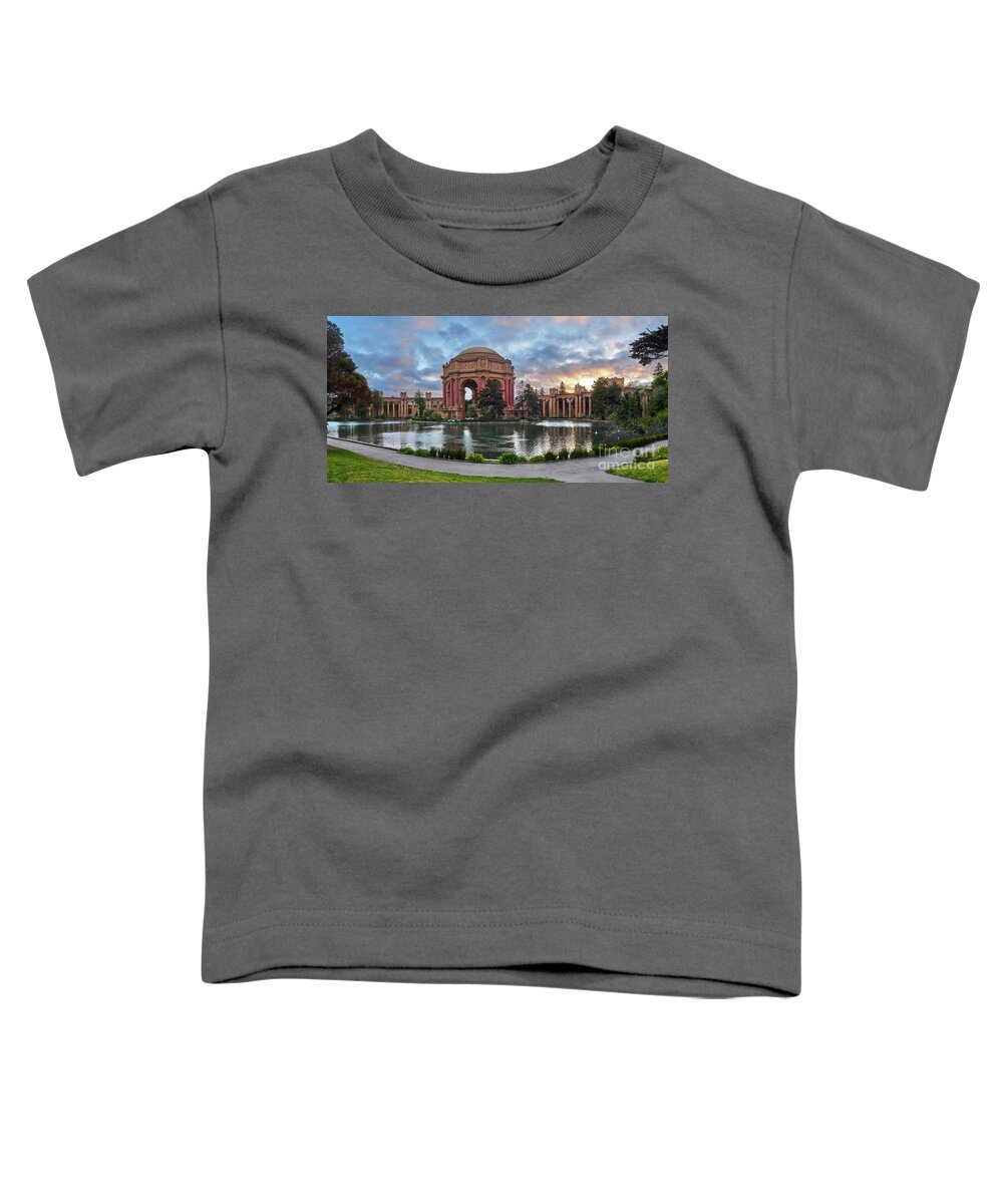 Sf Toddler T-Shirt featuring the photograph The Palace by Steve Ondrus