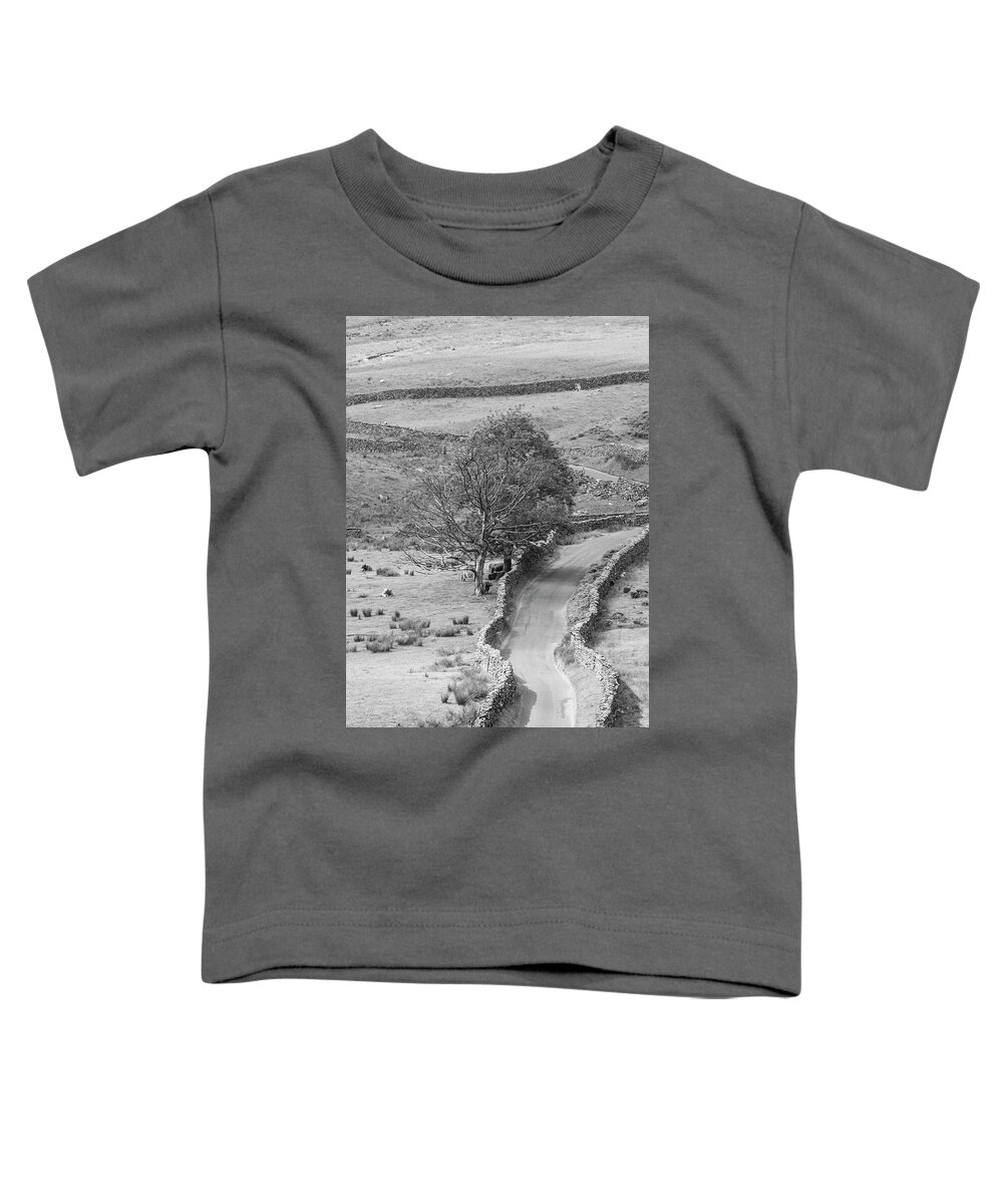 England Country Toddler T-Shirt featuring the photograph The Struggle in the Lake District UK by John McGraw