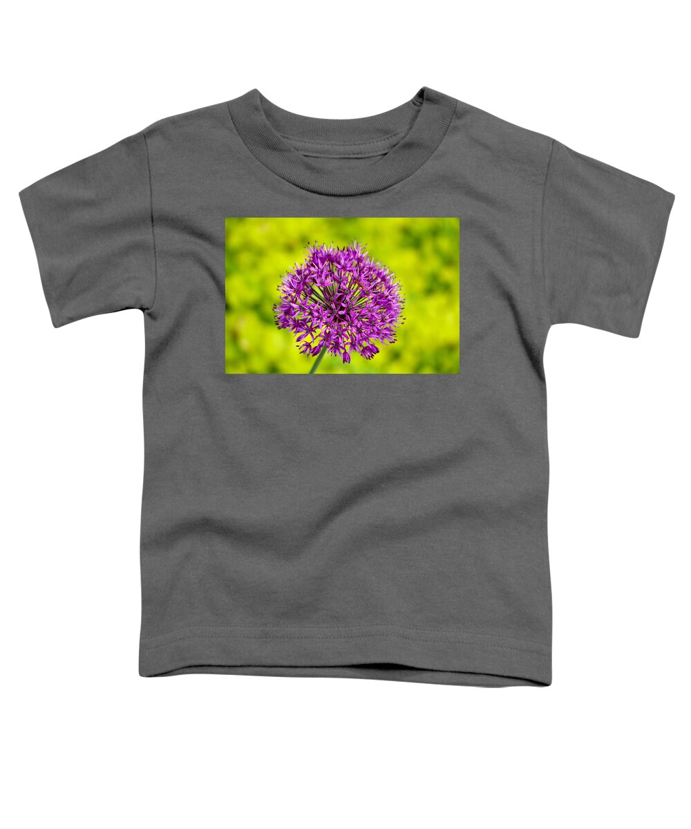 Flower Toddler T-Shirt featuring the photograph Thistle Do? Nope - A Purple Sensation Allium by Lin Grosvenor