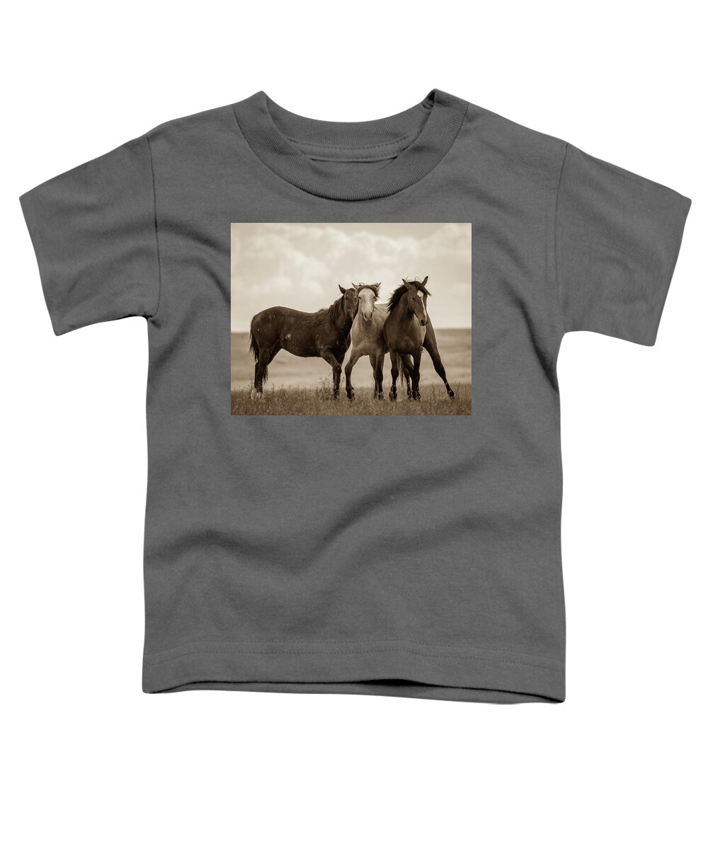 Wild Horses Toddler T-Shirt featuring the photograph Three Amigos by Mary Hone