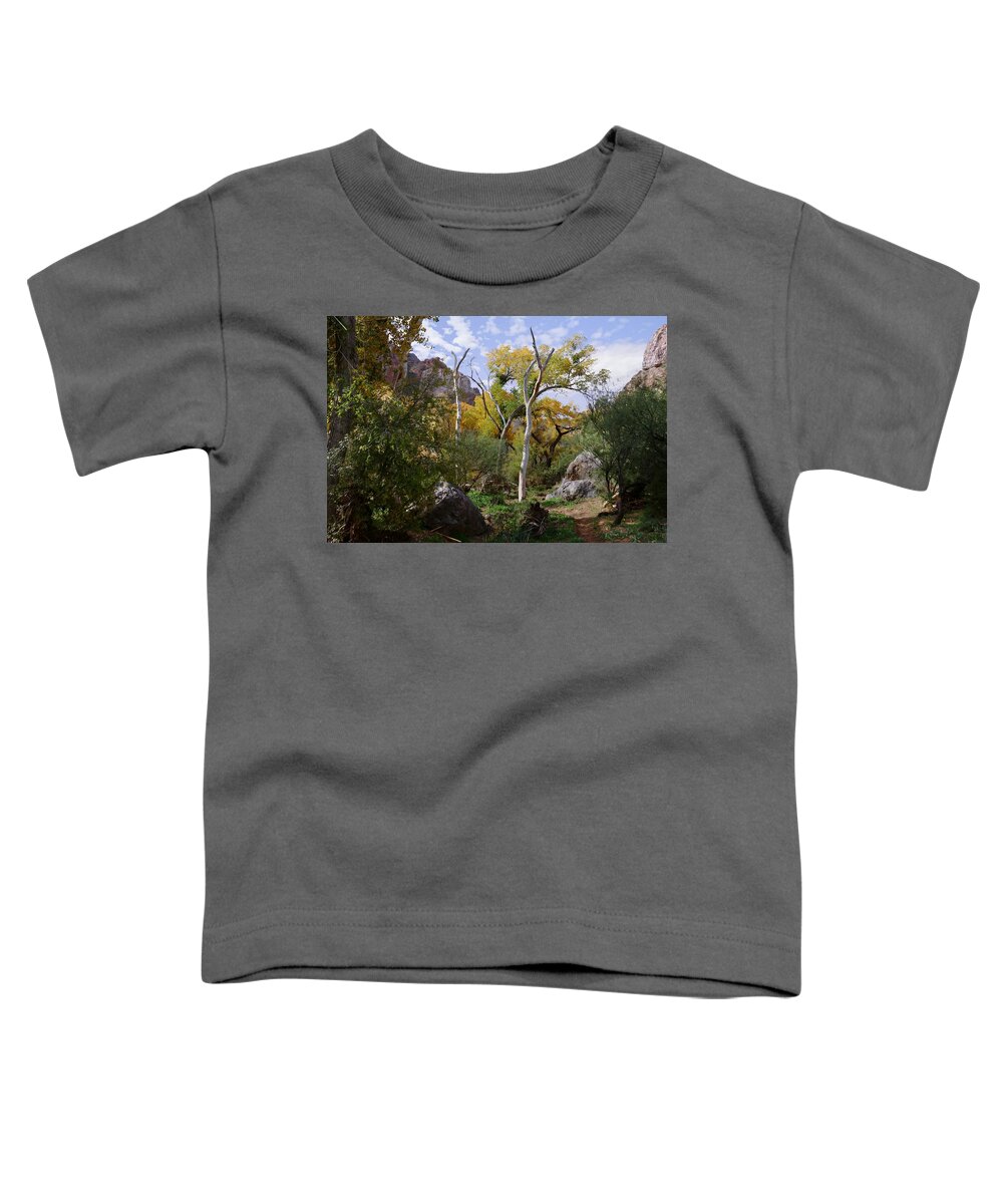 Canyon Toddler T-Shirt featuring the photograph Trail of Canyon Peace by Hans Brakob