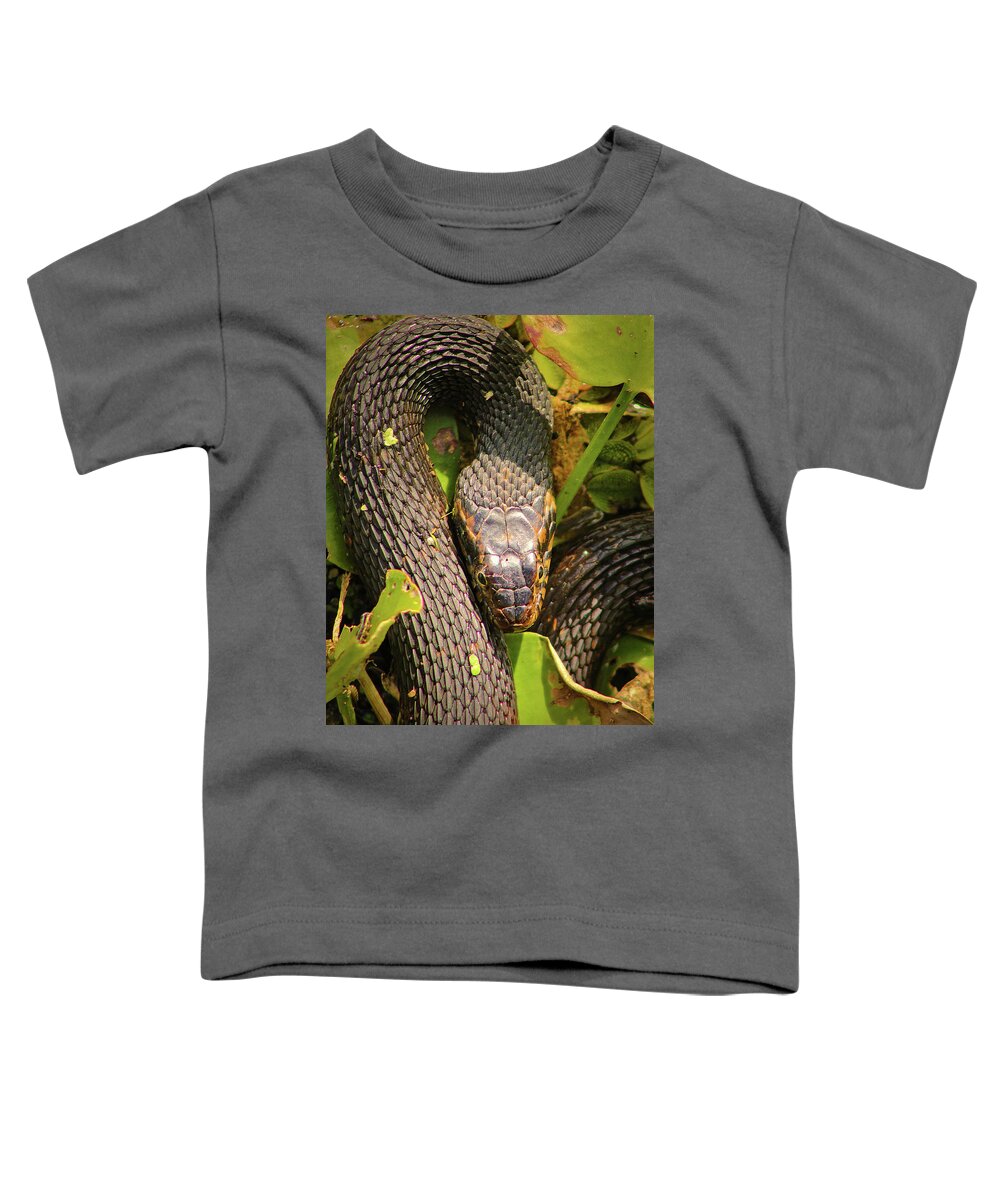 Snake Toddler T-Shirt featuring the photograph Turn Me Right Round by Michael Allard