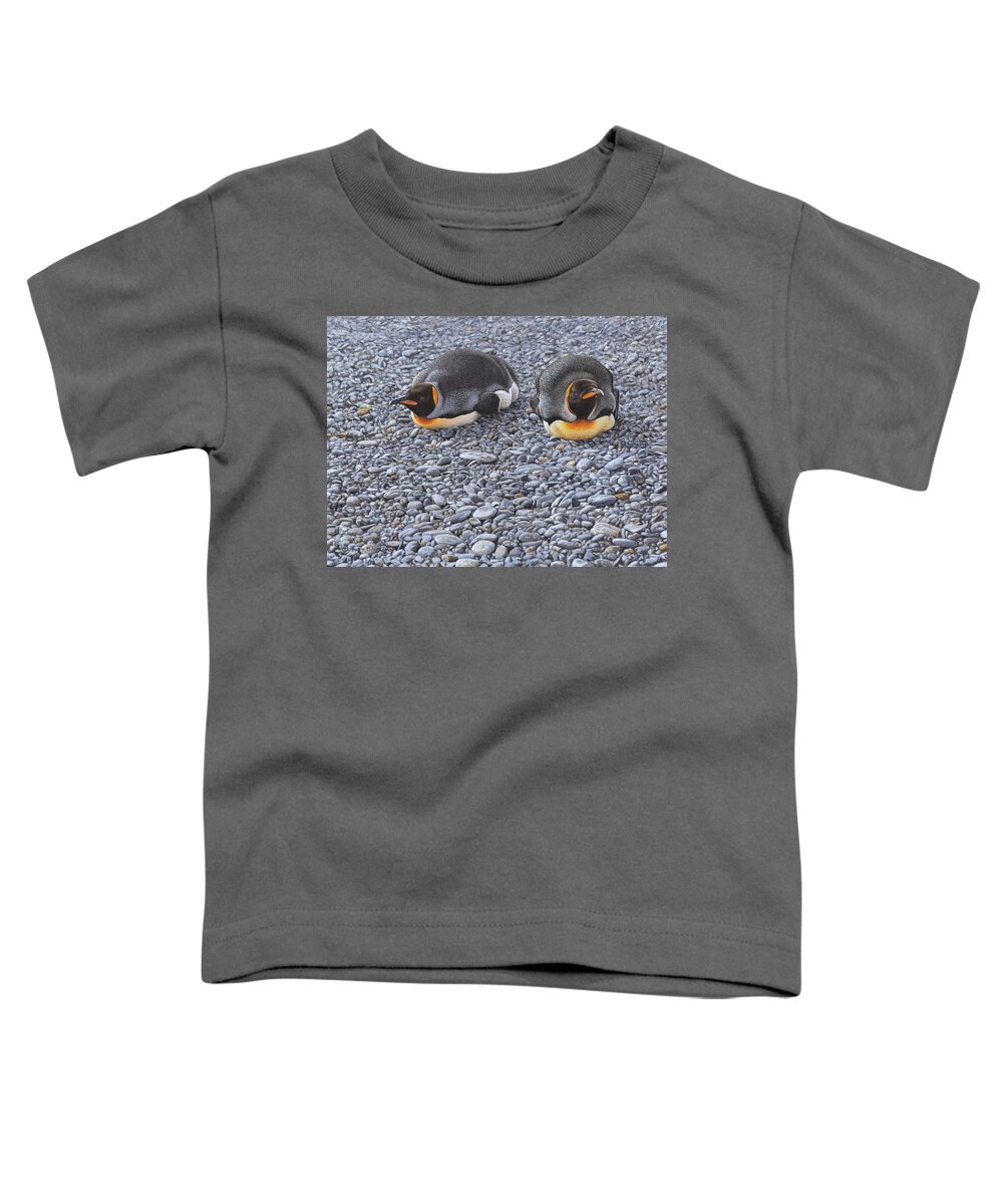 Alan M Hunt Toddler T-Shirt featuring the painting Two King Penguins by Alan M Hunt by Alan M Hunt