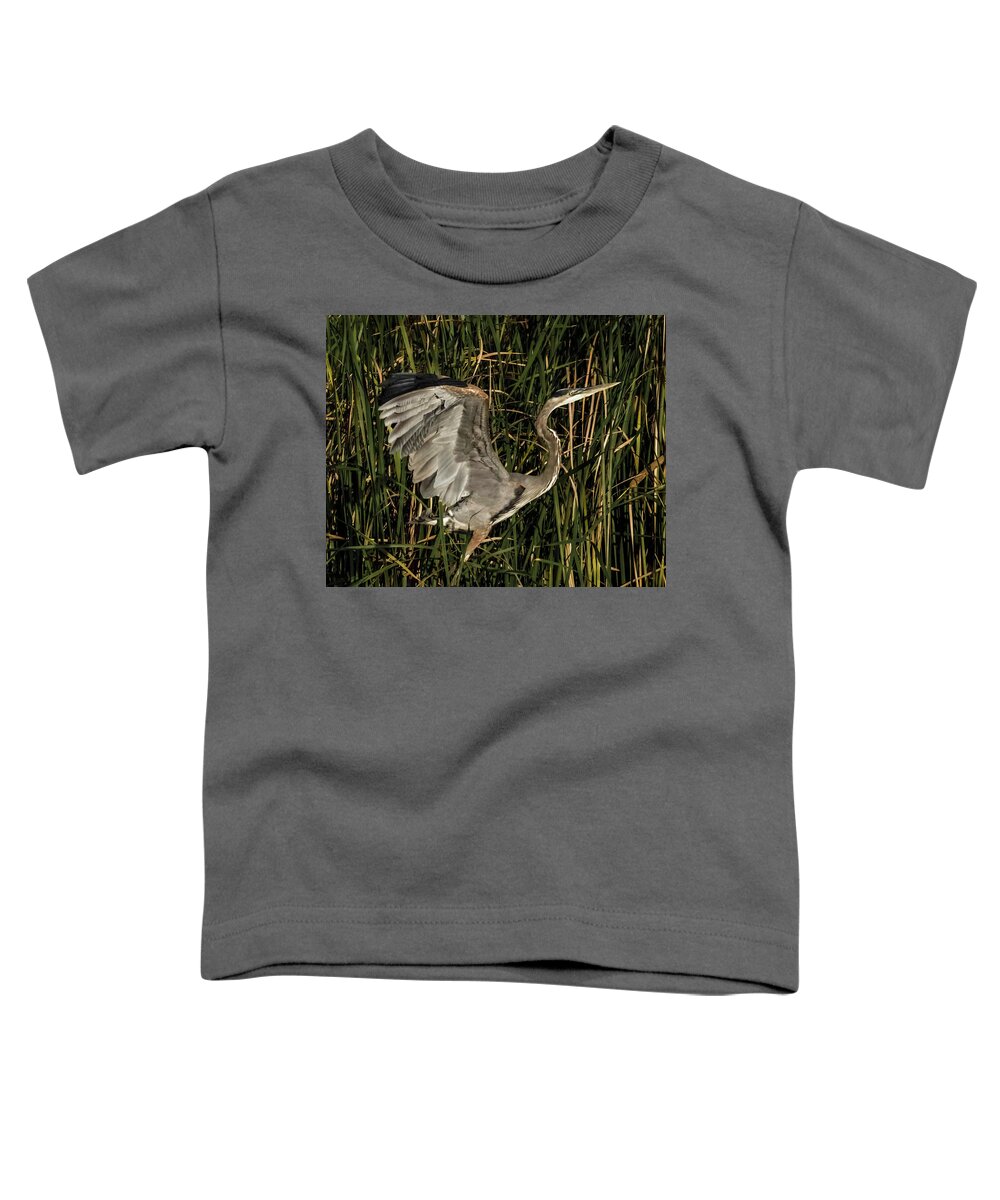 Bird Toddler T-Shirt featuring the photograph Uplifting by Ray Silva