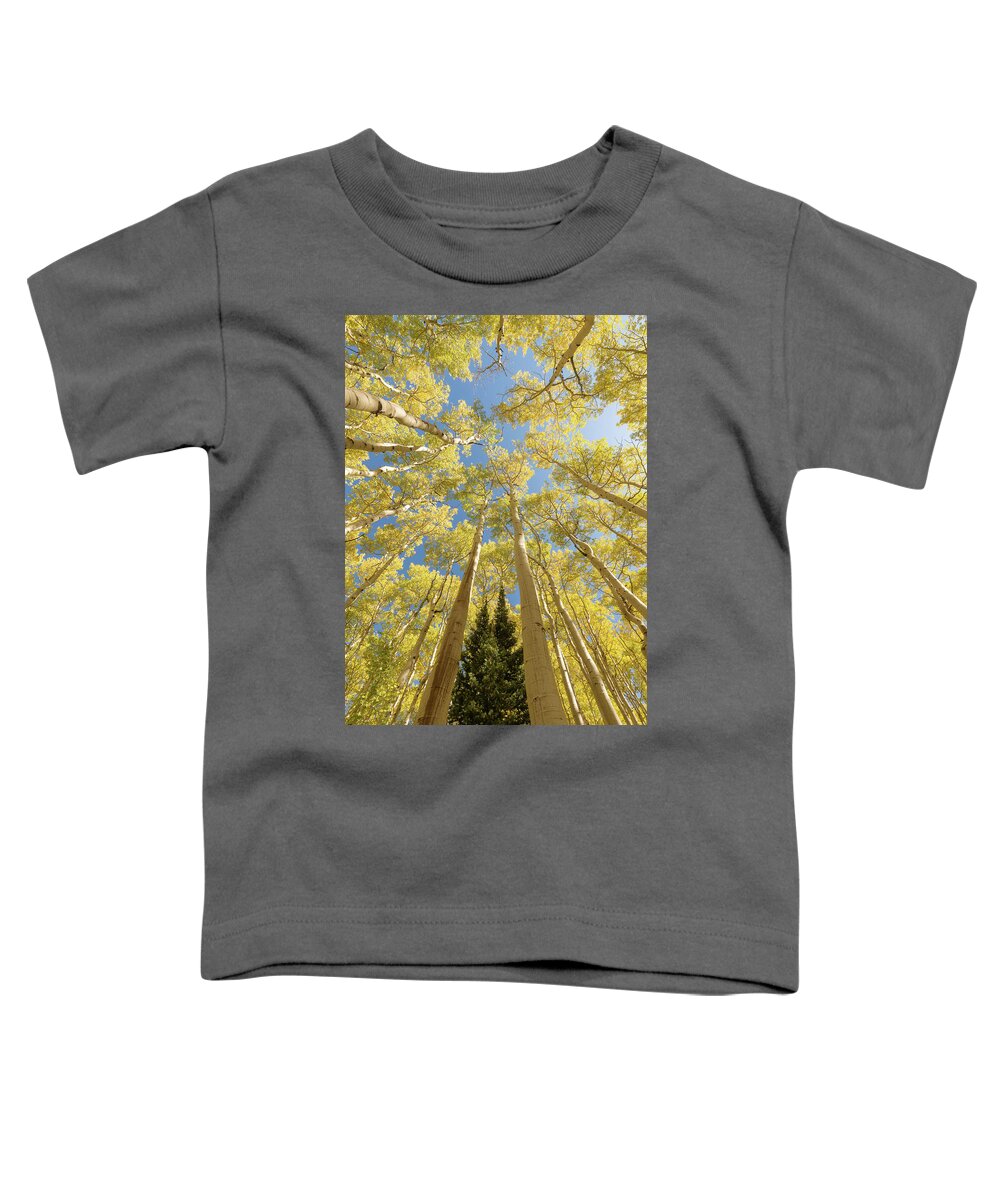Forest Toddler T-Shirt featuring the photograph Upward by Dustin LeFevre