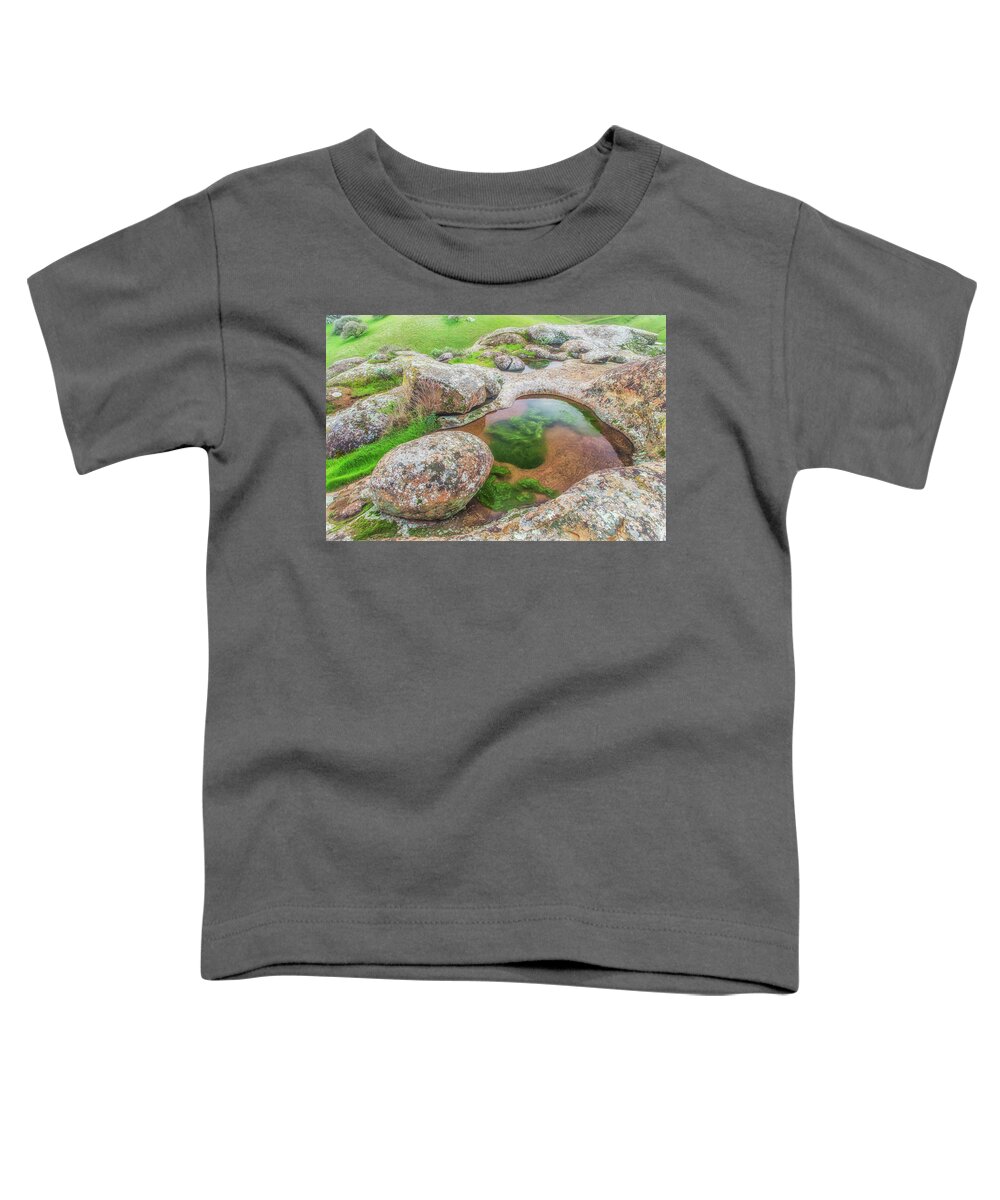 Landscape Toddler T-Shirt featuring the photograph Vernal Pool at Vasco Caves by Marc Crumpler