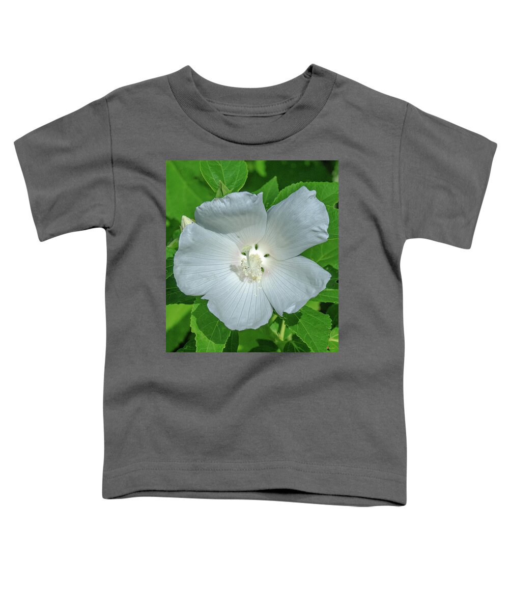 Nature Toddler T-Shirt featuring the photograph Very Rare almost All-white Crimson-eyed Rosemallow DFL0996 by Gerry Gantt