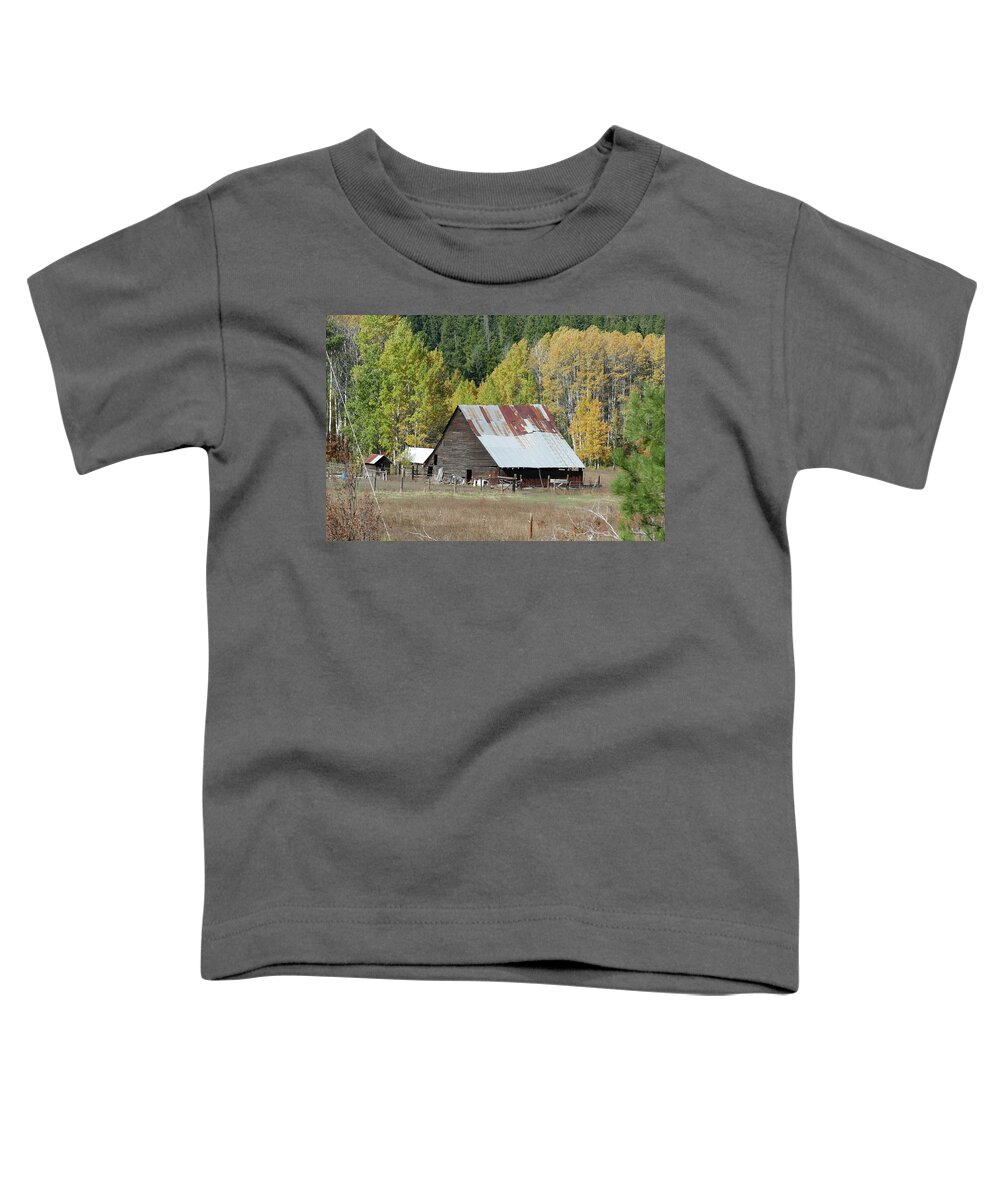 Farm Toddler T-Shirt featuring the photograph Vintage wooden barn with autumn poplars by Steve Estvanik