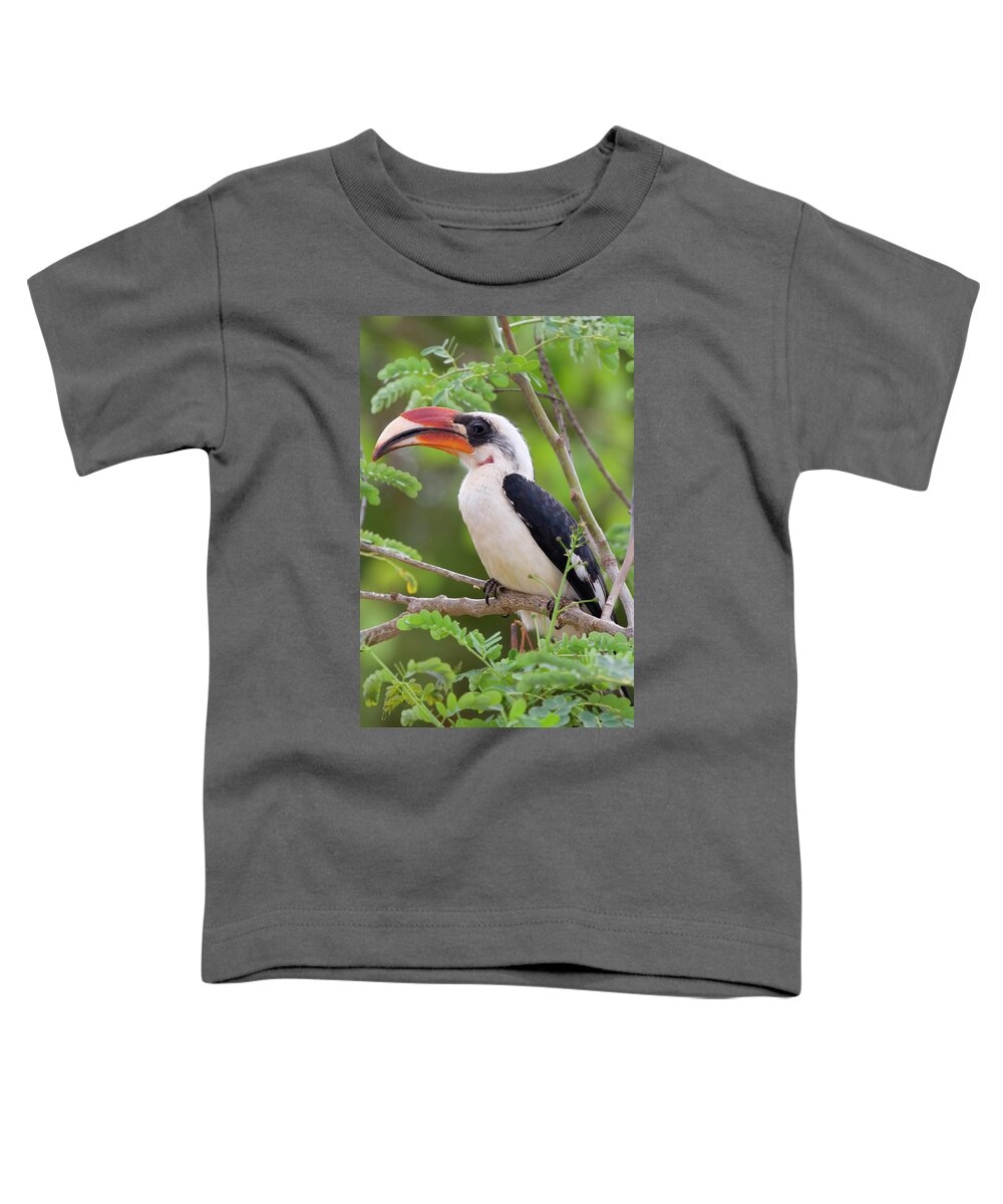 Acacia Tree Toddler T-Shirt featuring the photograph Von Der Deckens Hornbill by Ivan Kuzmin