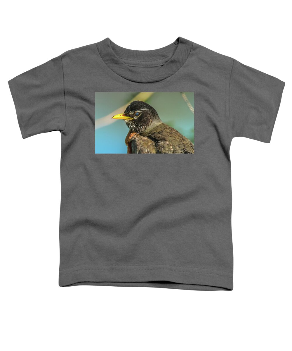 20180501 Toddler T-Shirt featuring the photograph Wait--You Blinked by Jeff at JSJ Photography