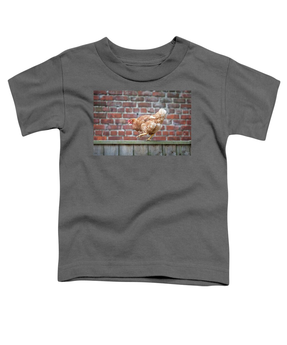Anita Nicholson Toddler T-Shirt featuring the photograph Walk the Line - Chicken walking along a wooden fence by Anita Nicholson