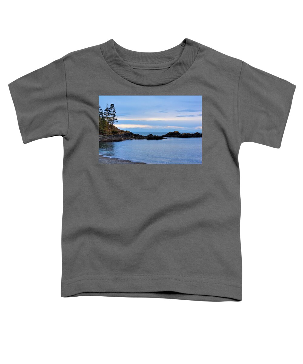 The Washington Coast Toddler T-Shirt featuring the photograph Washington Coast 2 by David Patterson