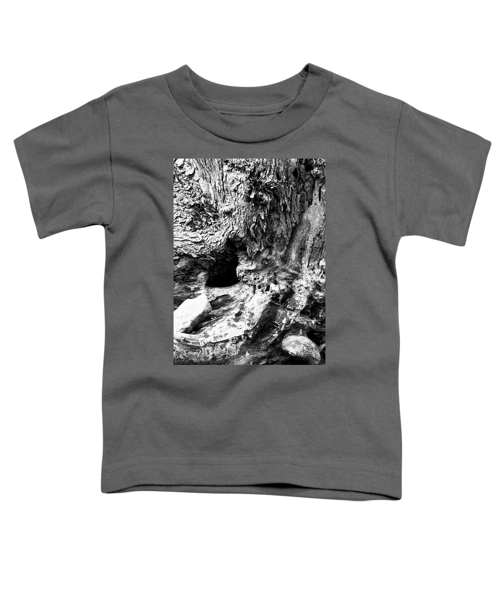 Stump Toddler T-Shirt featuring the photograph Weathered Stump by Bob Decker